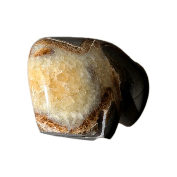 Zuni Fetish Septarian Buffalo Nodule Carving Grey and Brown 1.75" - Picture 8 of 9